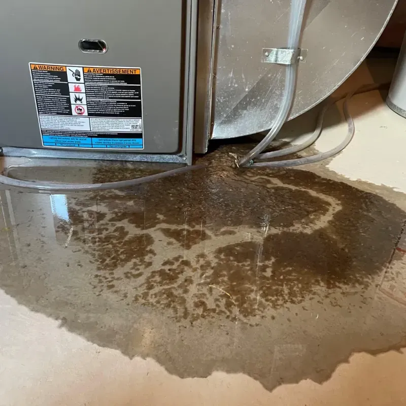 Appliance Leak Cleanup in Morrow County, OH